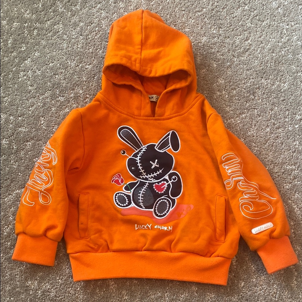 Vibrant (Lucky Charm) Orange Graphic Hoodie.